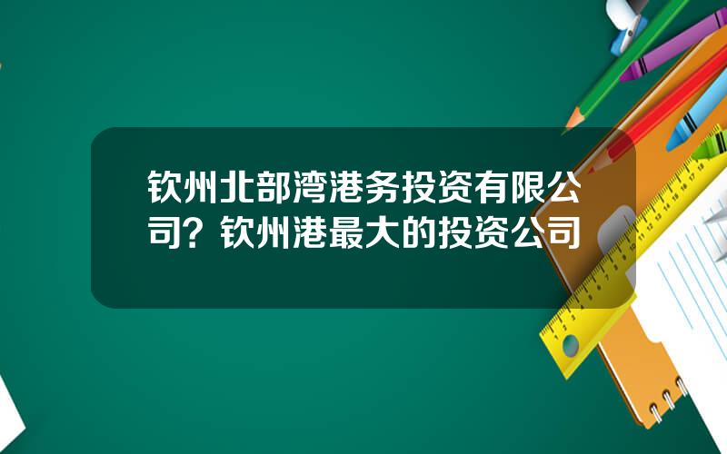 钦州北部湾港务投资有限公司？钦州港最大的投资公司